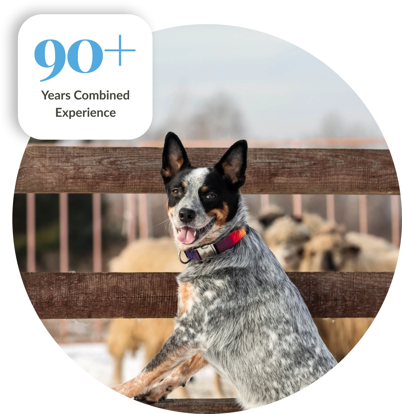 retirement estate 651x670