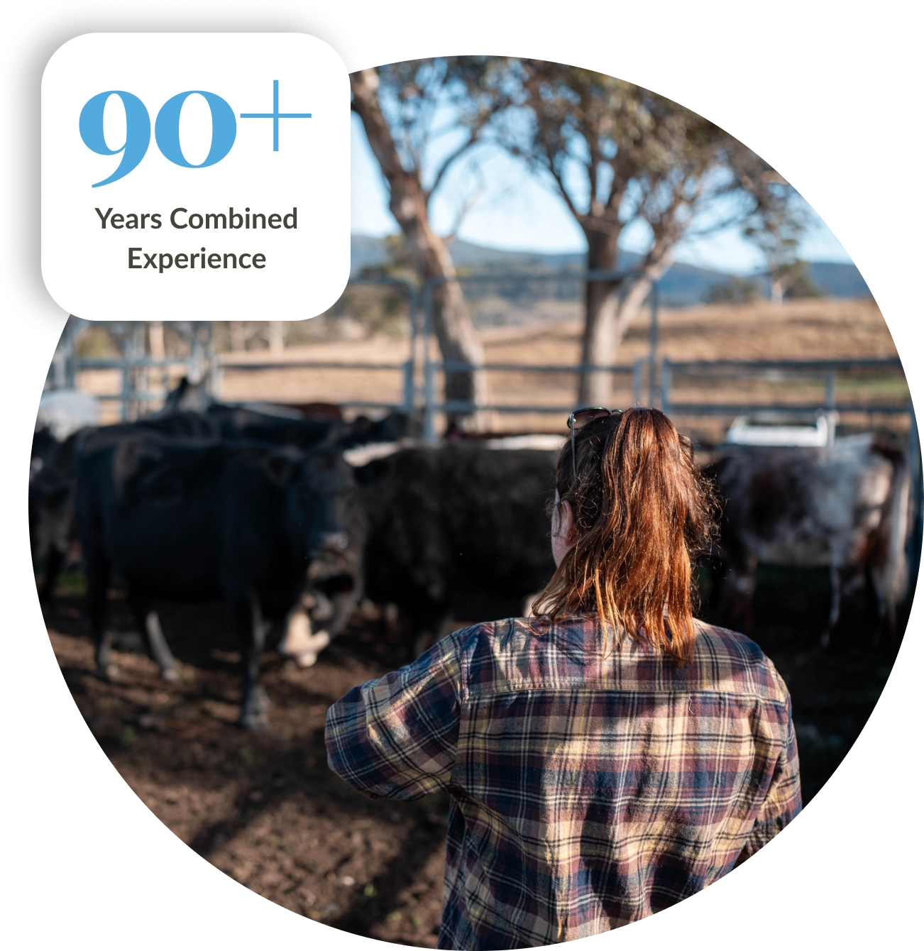 tax account 651x670 (17)